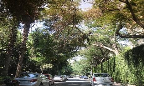 	Maadi